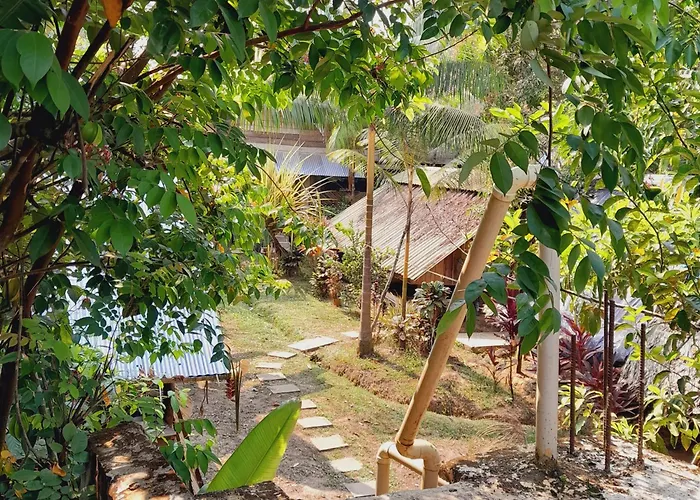 Casa Do Xingu