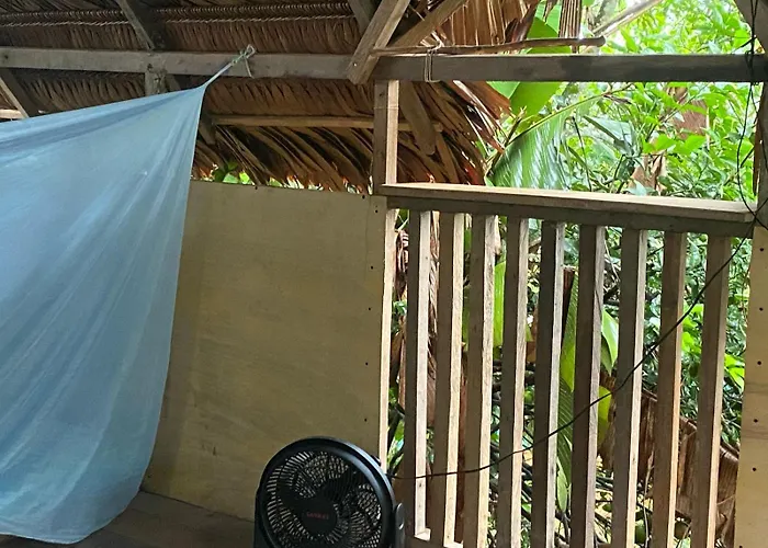 Casa Do Xingu