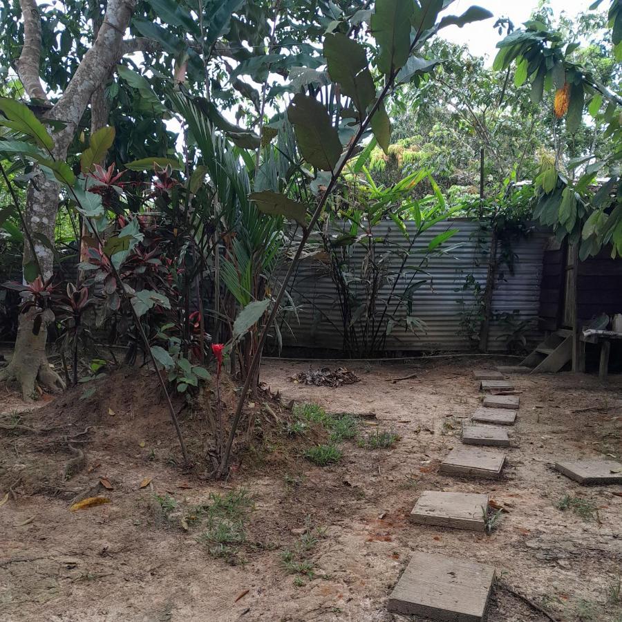 Casa Do Xingu * Leticia