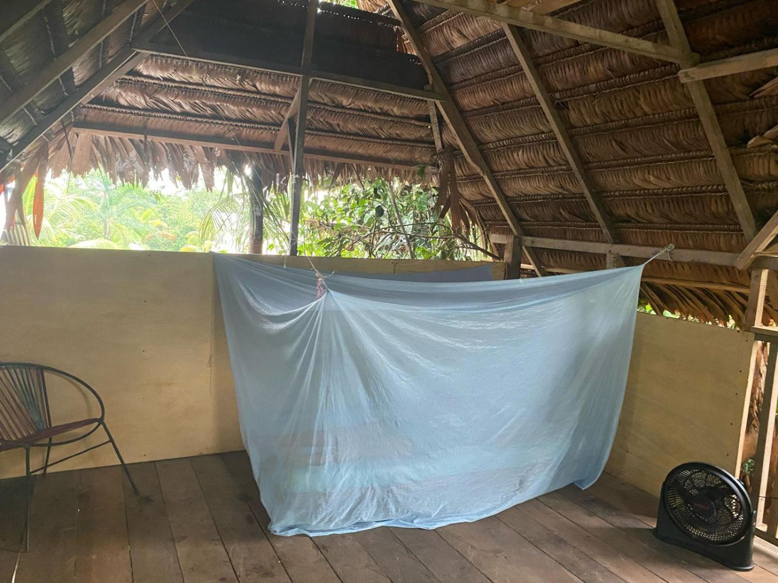 Homestay Casa Do Xingu