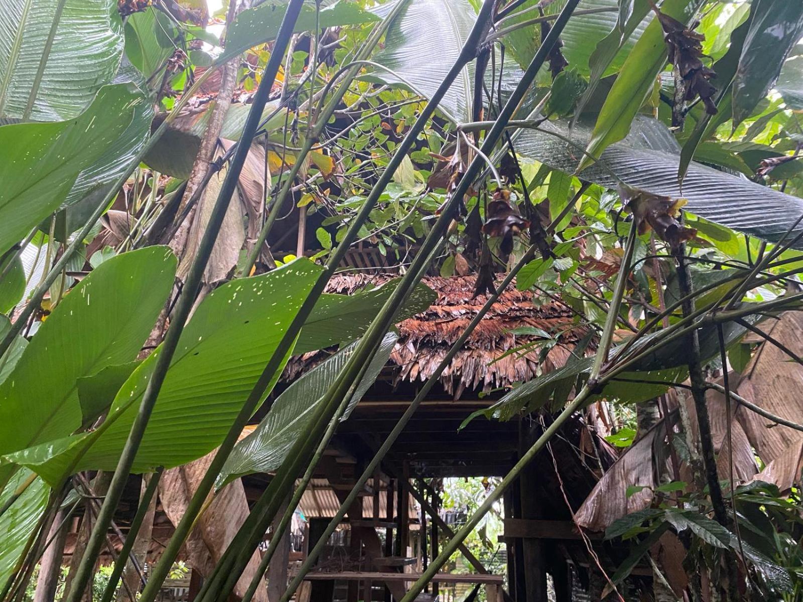 Casa Do Xingu *