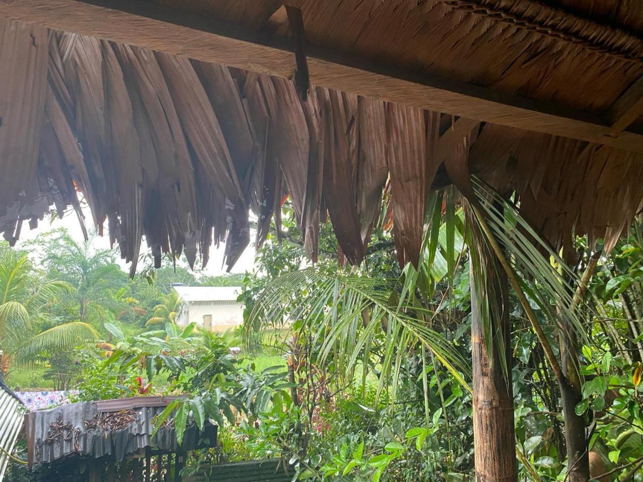 Homestay Casa Do Xingu Leticia