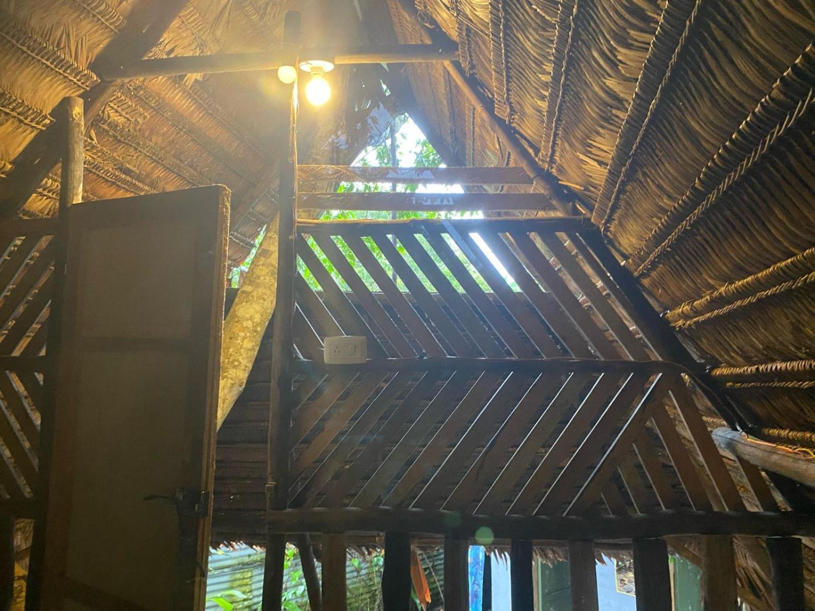 Homestay Casa Do Xingu